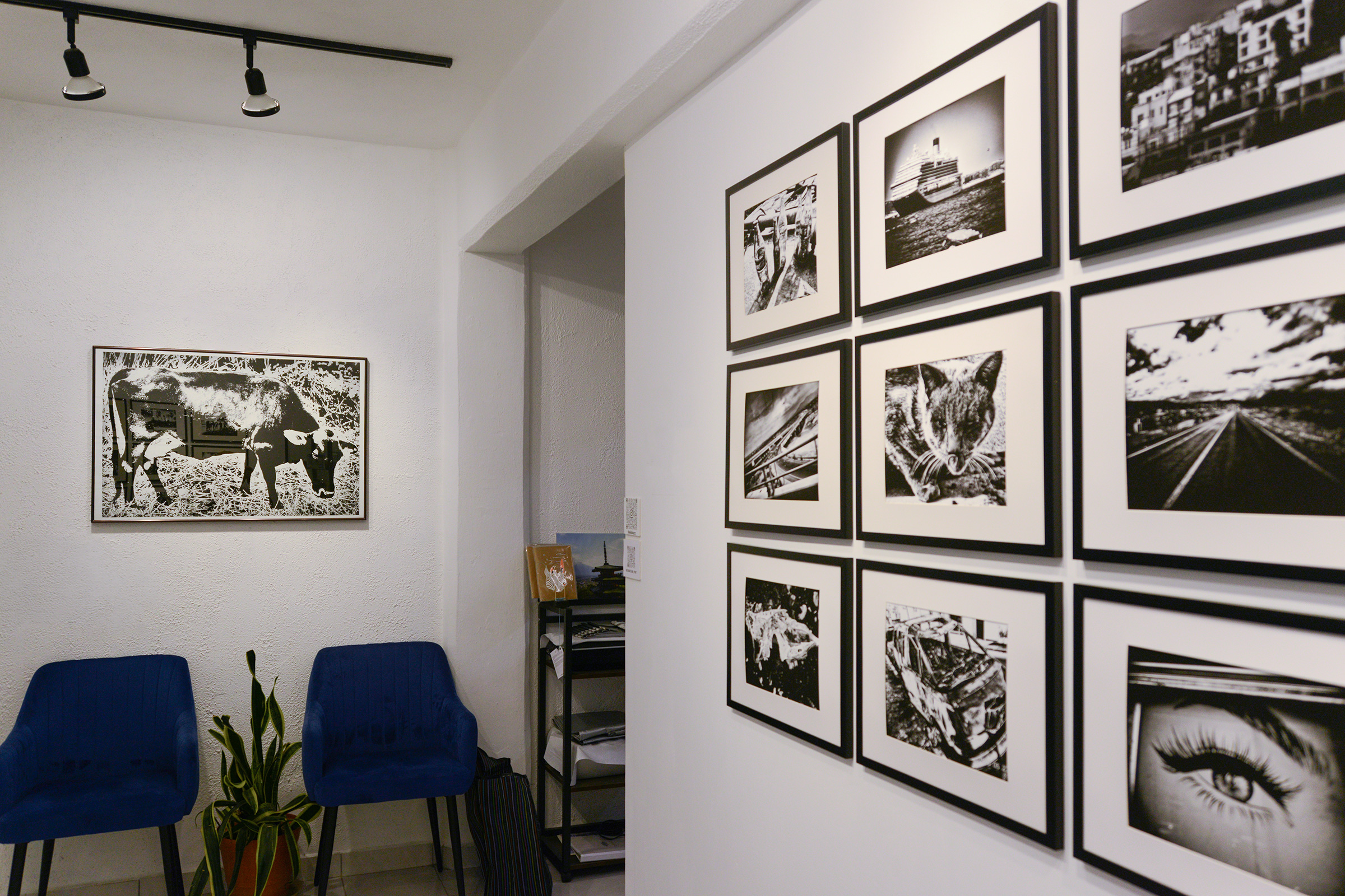 b-cromatica-gallery-installation-view